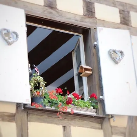 Charmant En Hyper Centre De Avec 2 Et Wi-fi - Fr-1-722-4 * Colmar