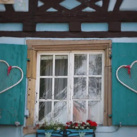 Appartement Charmant En Hyper Centre De Avec 2 Et Wi-fi - Fr-1-722-4 Colmar