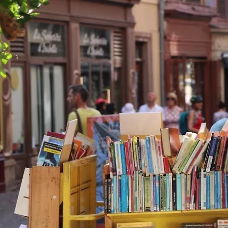 Charmant En Hyper Centre De Avec 2 Et Wi-fi - Fr-1-722-4 Appartement *