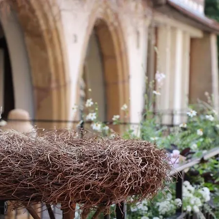 Appartement Charmant En Hyper Centre De Avec 2 Et Wi-fi - Fr-1-722-4 Colmar