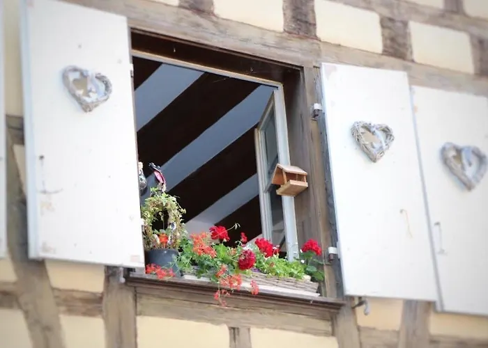 Charmant En Hyper Centre De Avec 2 Et Wi-fi - Fr-1-722-4 * Colmar