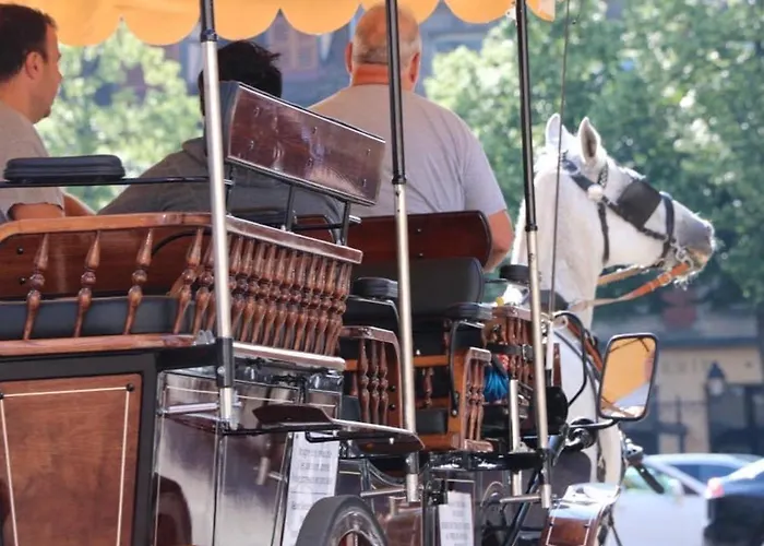 Charmant En Hyper Centre De Avec 2 Et Wi-fi - Fr-1-722-4