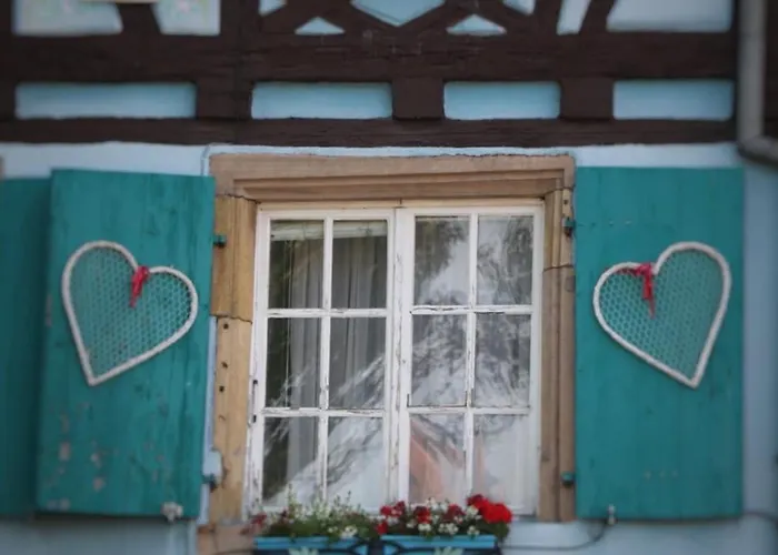 Appartement Charmant En Hyper Centre De Avec 2 Et Wi-fi - Fr-1-722-4 Colmar