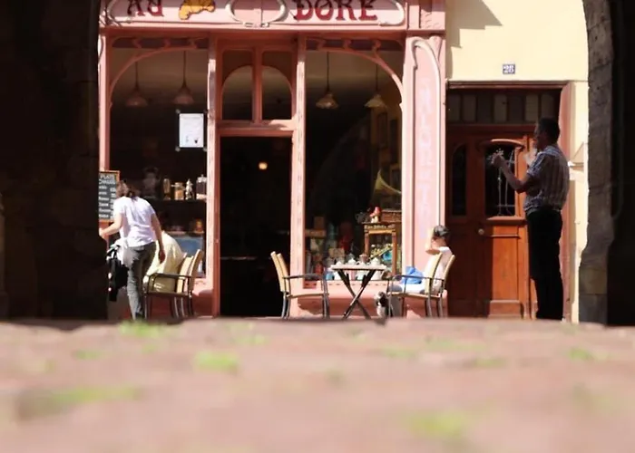 Charmant En Hyper Centre De Avec 2 Et Wi-fi - Fr-1-722-4 * Colmar