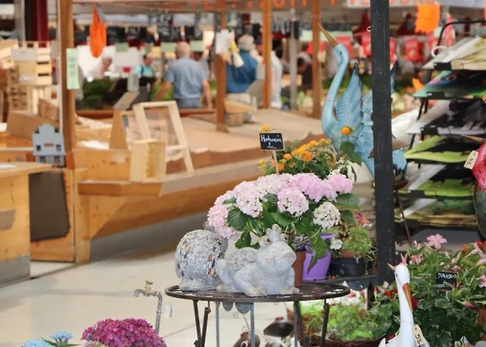 Charmant En Hyper Centre De Avec 2 Et Wi-fi - Fr-1-722-4 Appartement Colmar