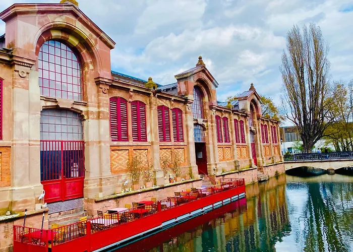 Charmant En Hyper Centre De Avec 2 Et Wi-fi - Fr-1-722-4 Appartement Colmar