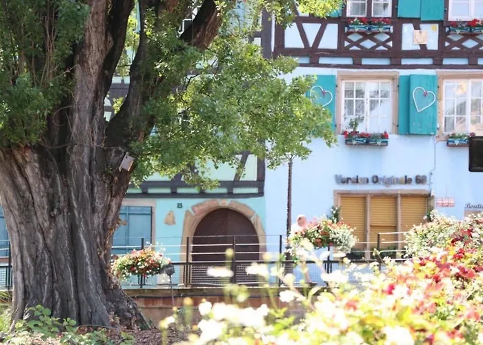 Appartement Charmant En Hyper Centre De Avec 2 Et Wi-fi - Fr-1-722-4 *