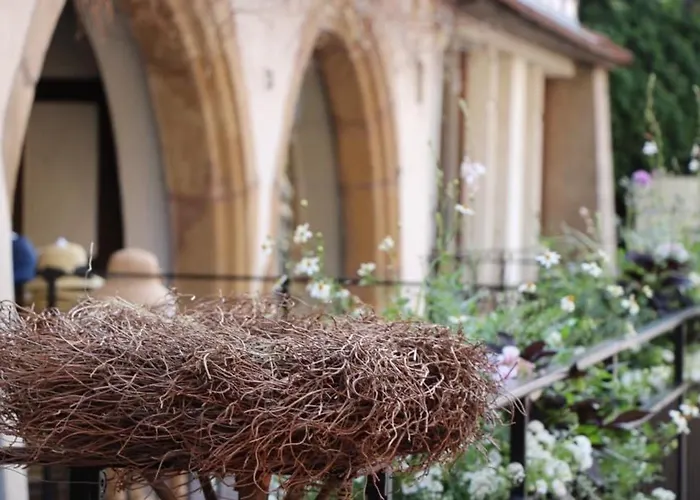 Appartement Charmant En Hyper Centre De Avec 2 Et Wi-fi - Fr-1-722-4 Colmar